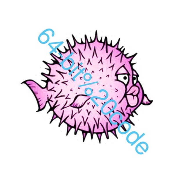 64-bit code